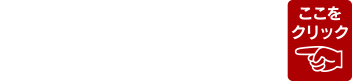 おすすめ情報　各店舗のイベント予告掲載！バイヤーのお勧めも注目！